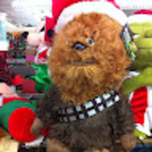 Meet your Posher, Giovanna